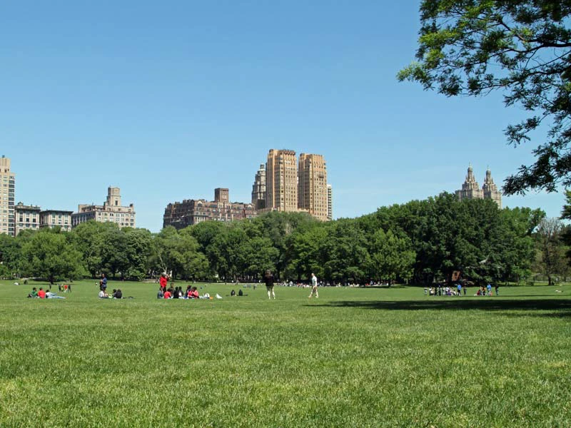 Grüne Parkanlage in New York