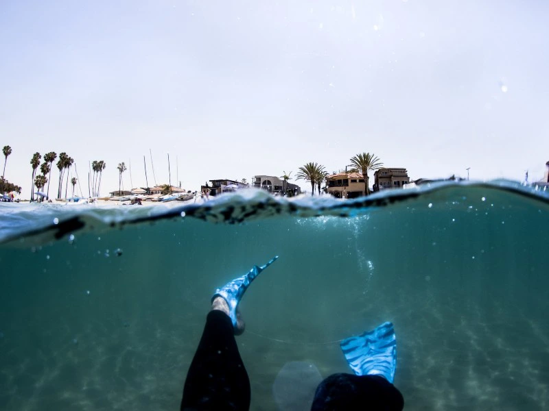 Schnorcheln gehen in dem Meer vor San Diego