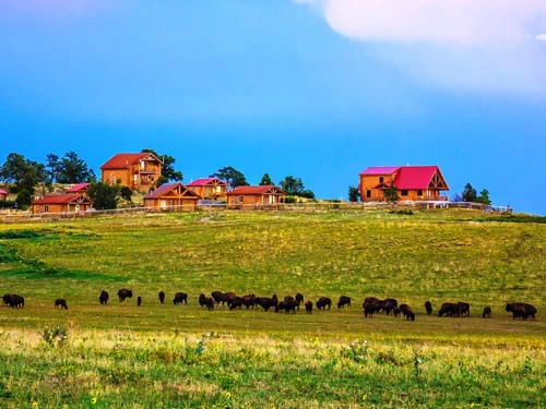 Die Ranch liegt idyllisch inmitten der Natu