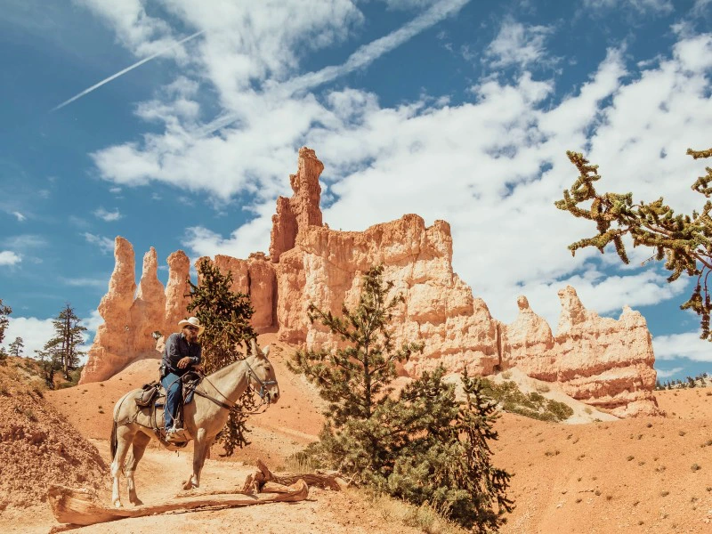 Bryce Canyon Reiter