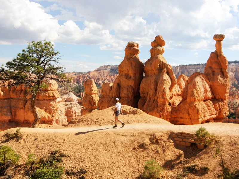 Bryce Canyon Wanderer