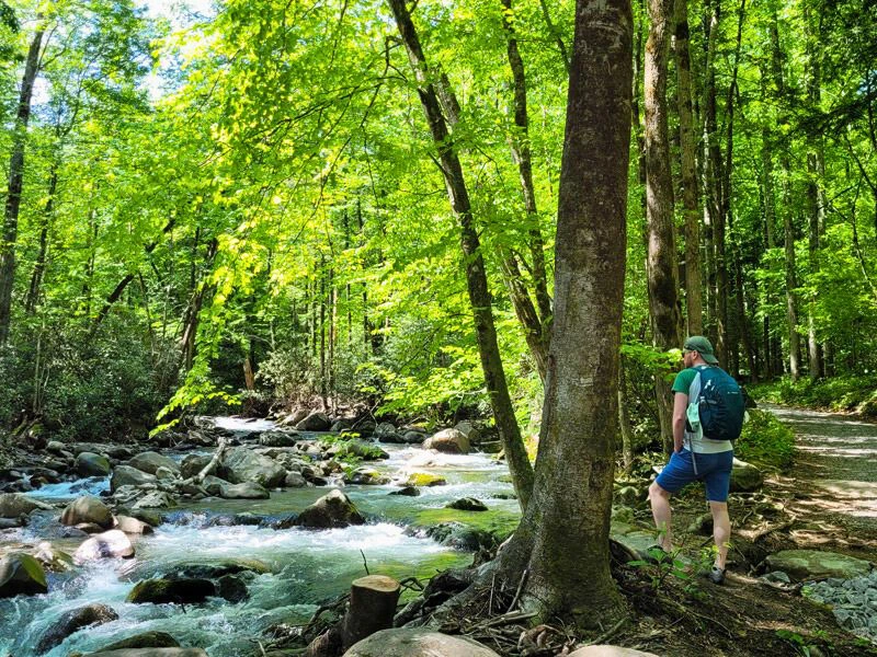 Wandern in den Smoky Mountains in Tennesse, USA