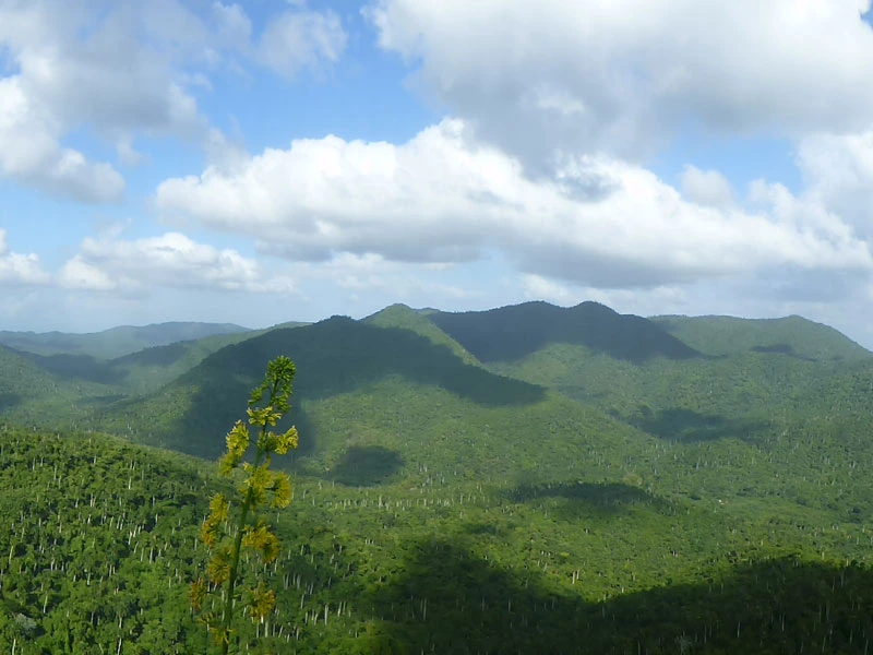 Landschaft in Soroa in Kuba