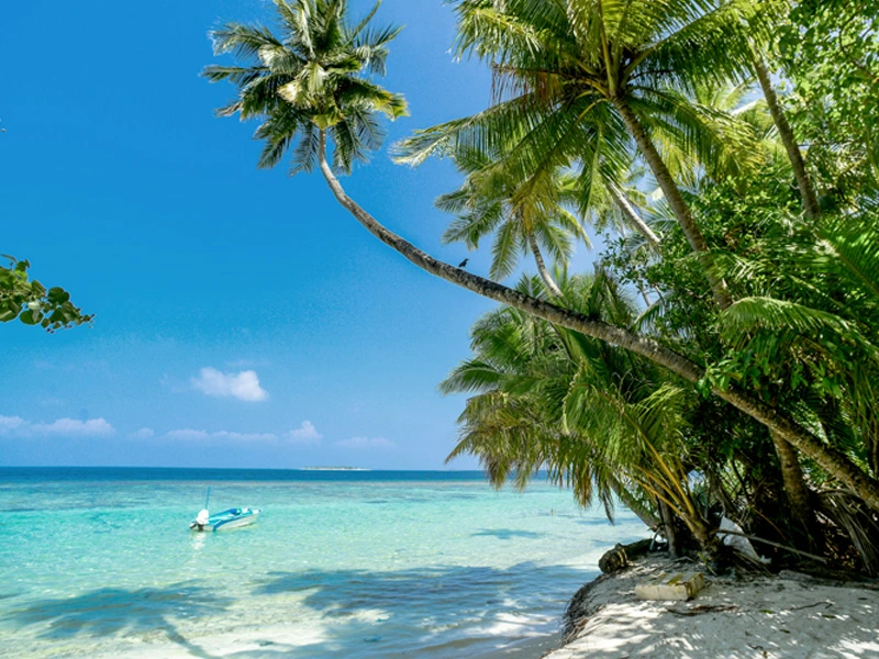 Strand mit Palmen auf Kuba