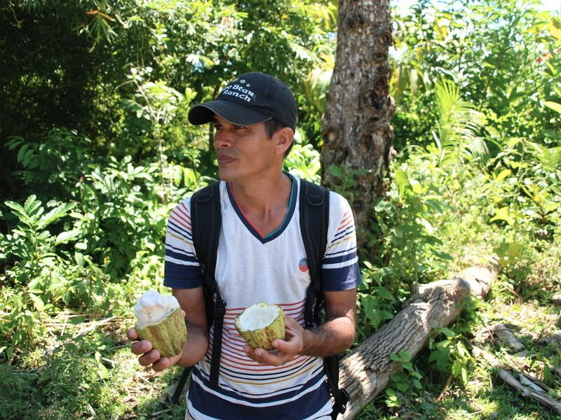 Guide in Baracoa mit Kakaobohnen