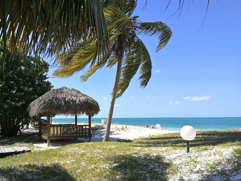 Garten und Strand auf Cayo Levisa in Kuba