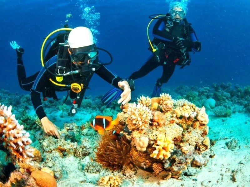 Taucher an der Küste vor Maria la Gorda
