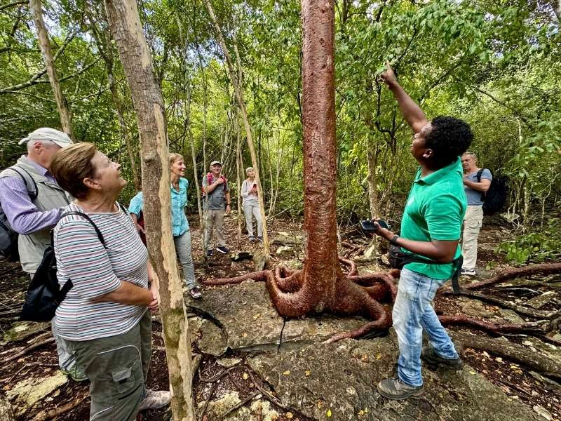 Touristen mit einem Guide auf dem Wanderpfad „El Sendero del Enigma“