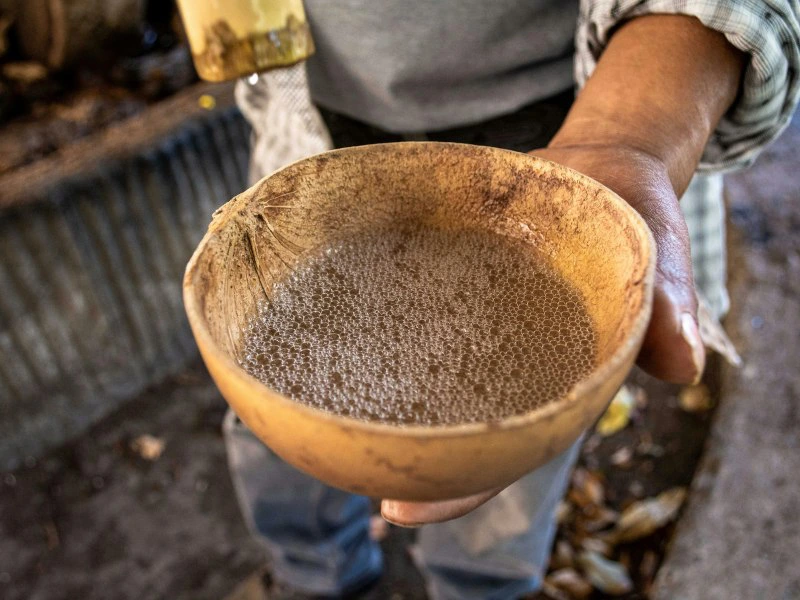 Mezcal Produktion in Mexiko