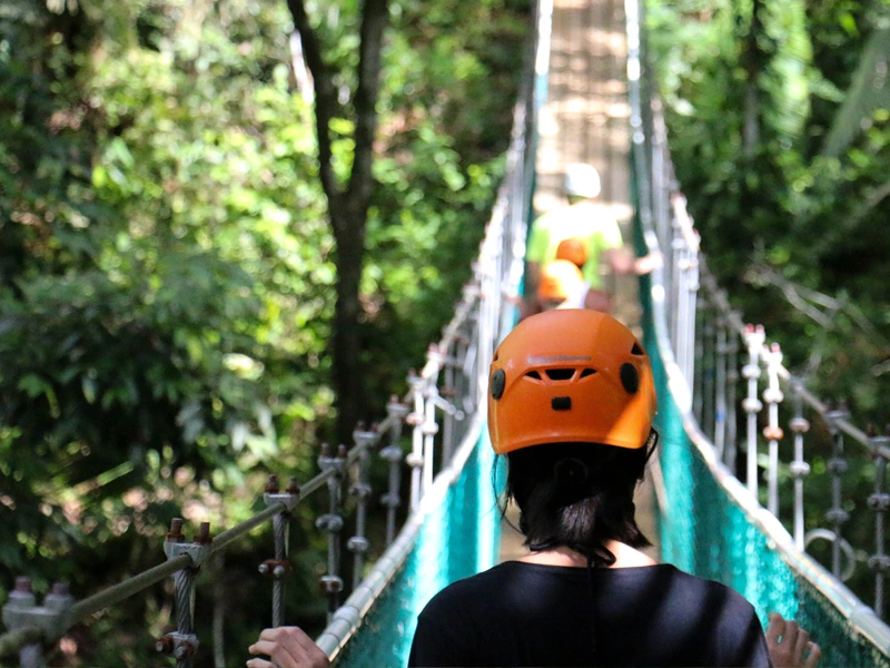 Hängebrücke im Dschungel von Belize