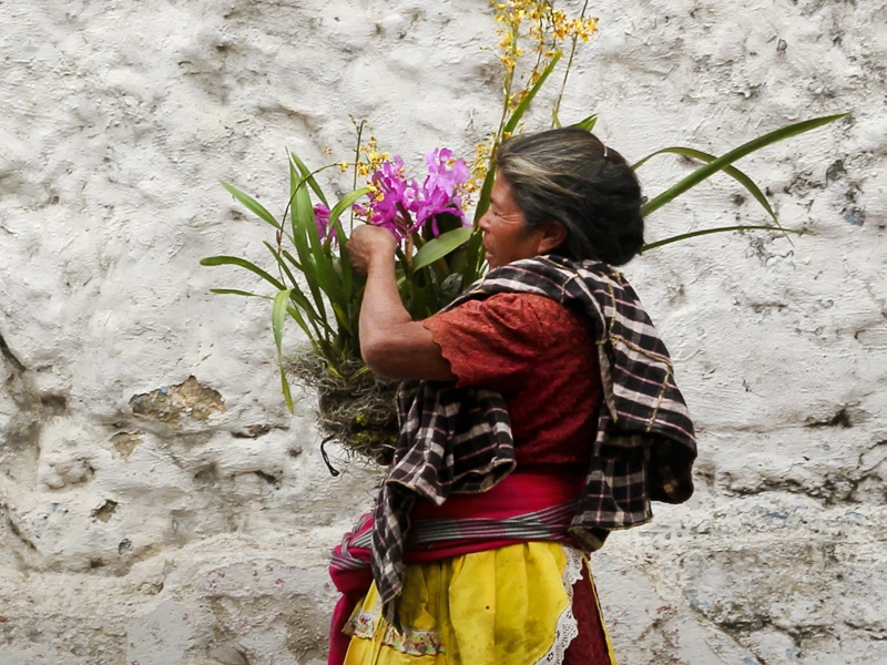 Frau mit Pflanzen in Guatemala