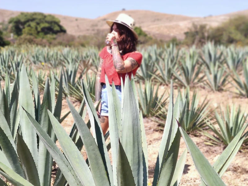 Frau im Agaven Feld in Mexiko