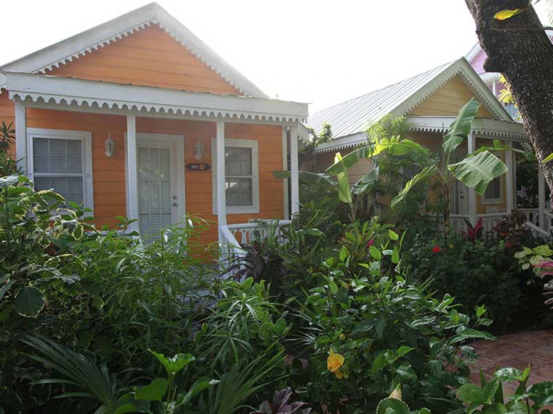 Garten der Unterkunft in San Pedro in Belize