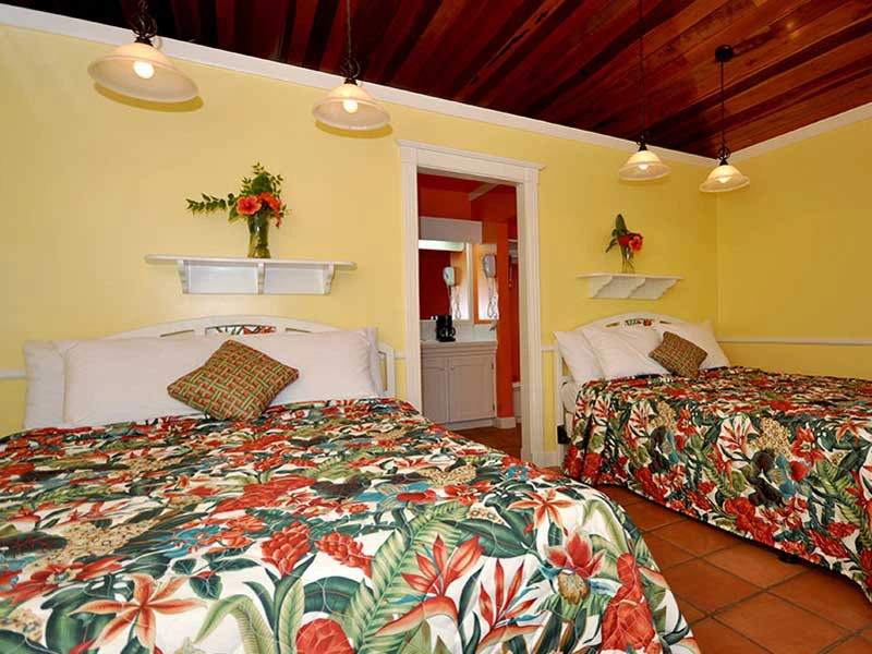 Gemütliches Zimmer der Unterkunft in San Pedro in Belize