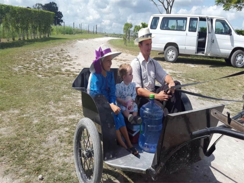 Kutsche in Lamanai in Belize