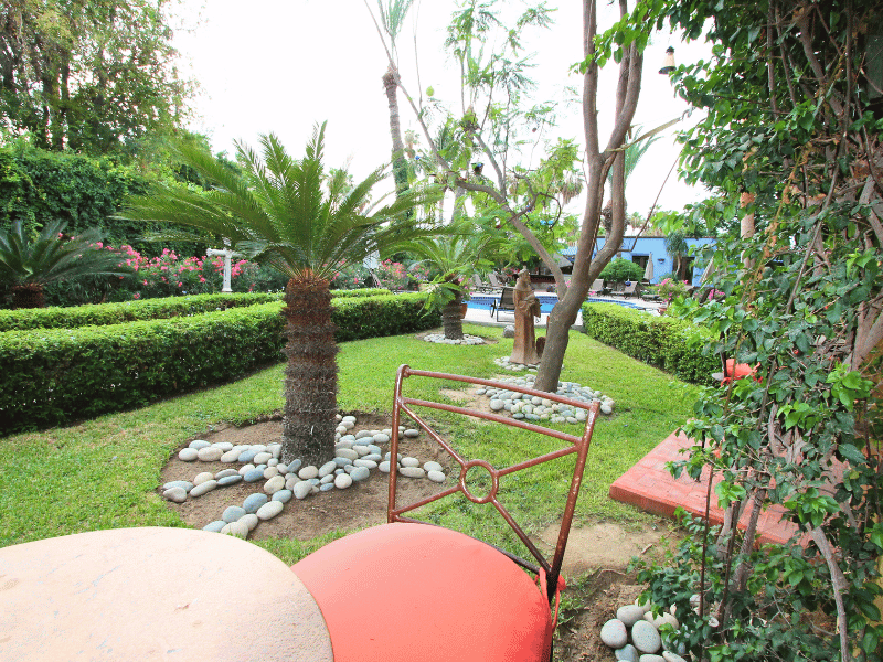 Blick in den Garten im Hotel in San Jose del Cabo in Mexiko