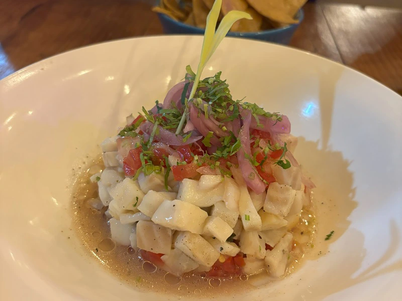 Ceviche Yucatan Highlights