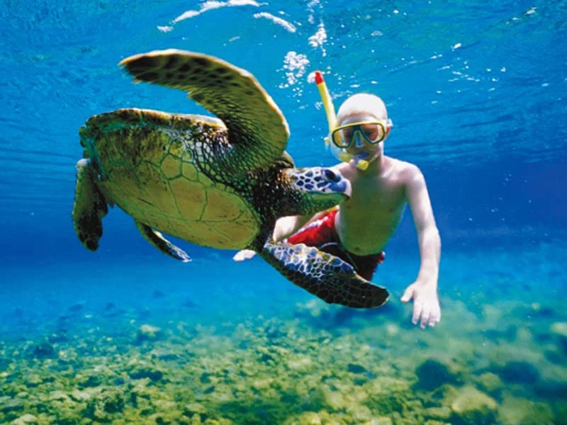 Junge schnorchelt mit Schildkröte