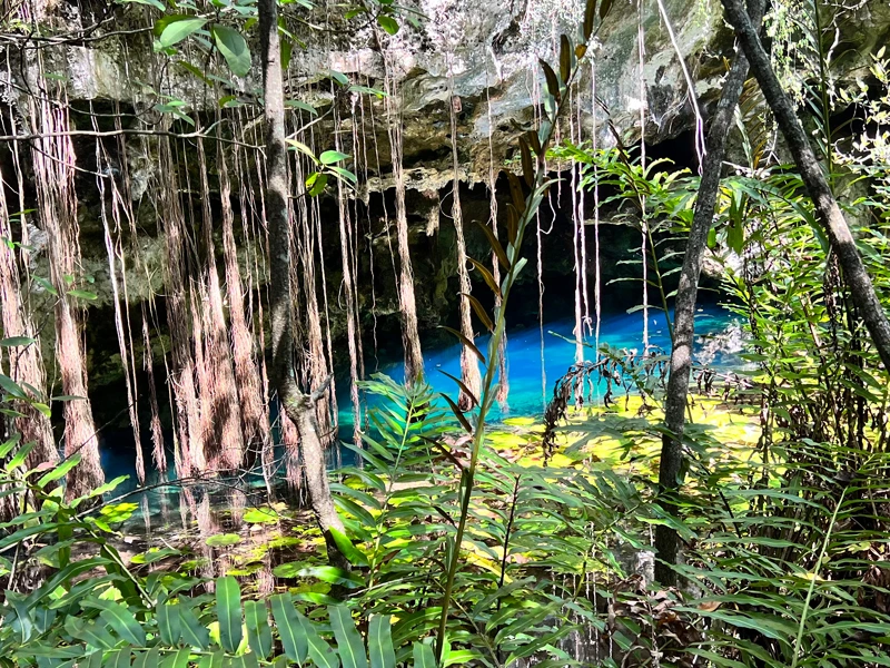 Cenote im Dschungel von Akumal