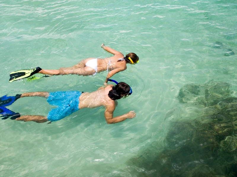 Pärchen schnorchelt im Meer