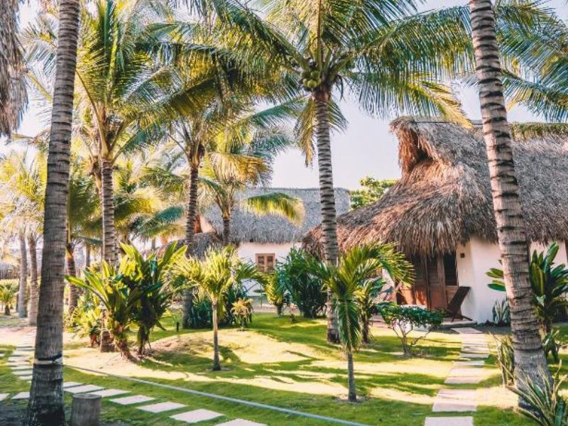 Garten in der Komfortunterkunft in El Paredon, Guatemala