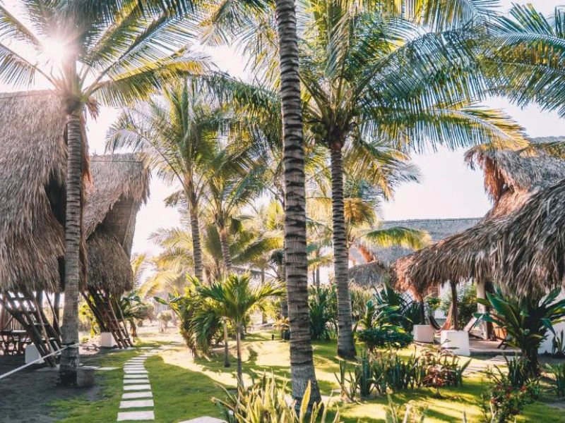 Garten in der Komfortunterkunft in El Paredon, Guatemala