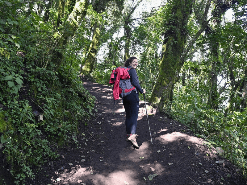 Frau auf Wanderweg durch grünen Wald