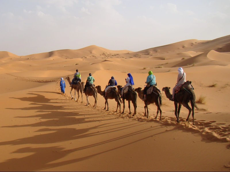 Kamelritt Wüste Merzouga Marokko