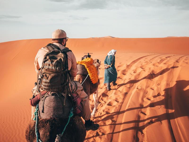 Marokko Wüste Kameltour Mhamid