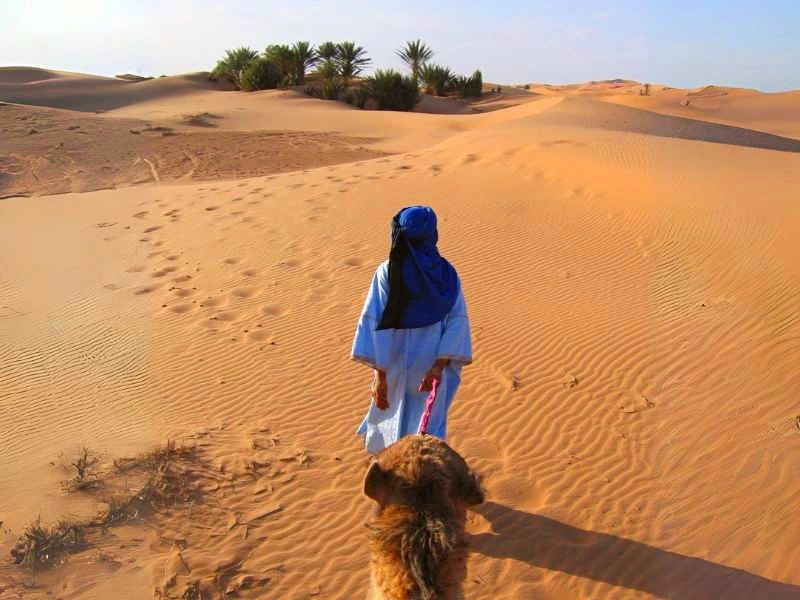 Kamelguide in Zagora in Marokko