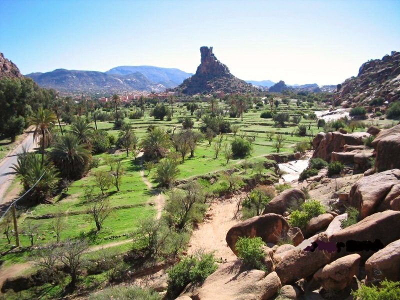Grüne Landschaft in Tafraoute in Marokko