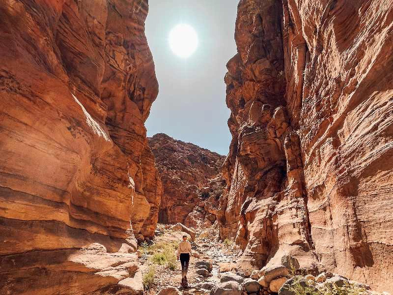 Natur vom Dana Biosphärenreservat, Jordanien