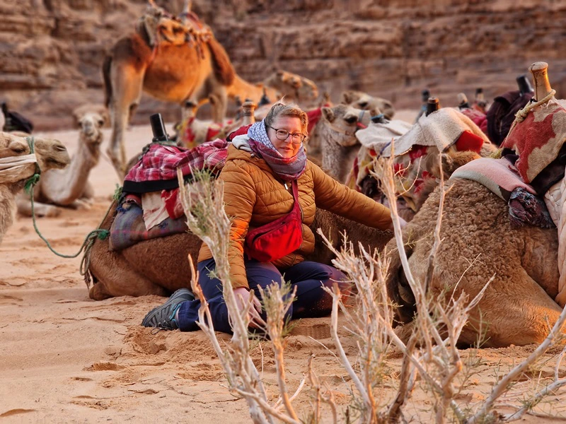 Kamele in Wadi Rum Jordanien