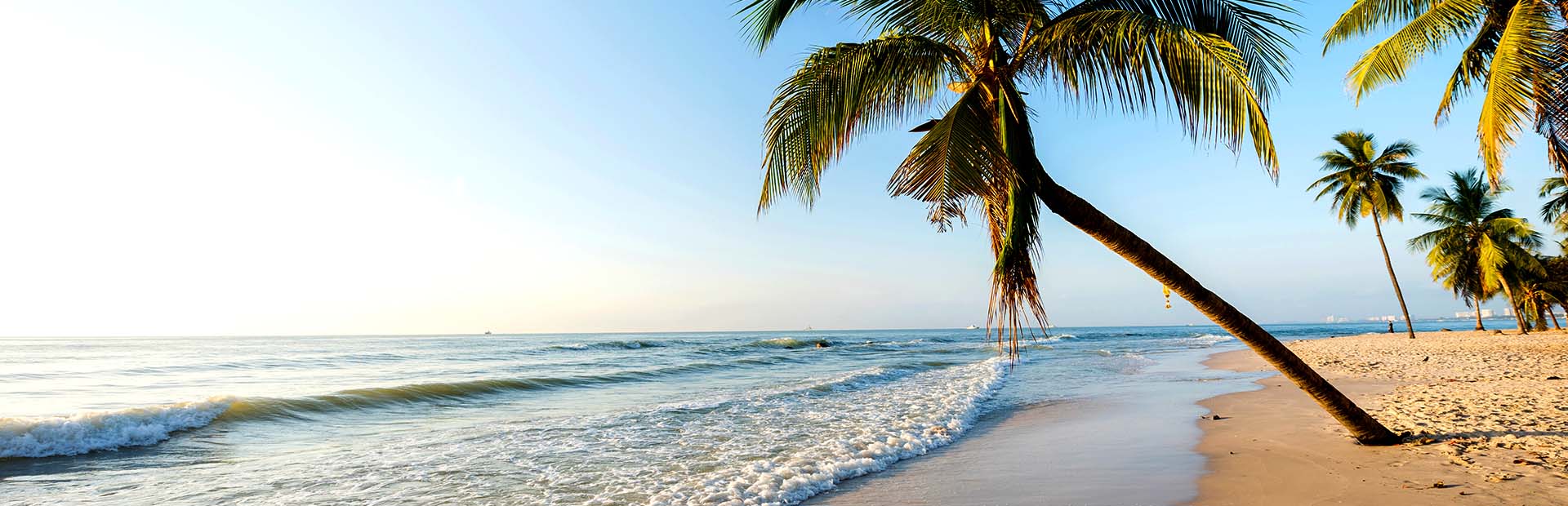 Begegnung mit Elefanten bei Hua Hin