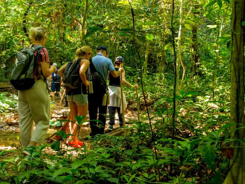 Eine Gruppe beim Wandern in Thailand
