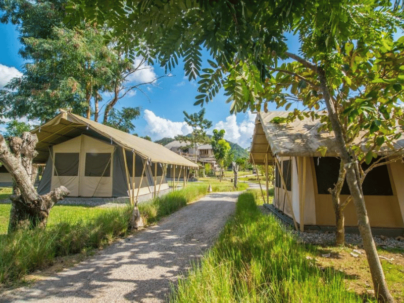 Safari Zelte beim Khao Yao Nationalpark in Thailand