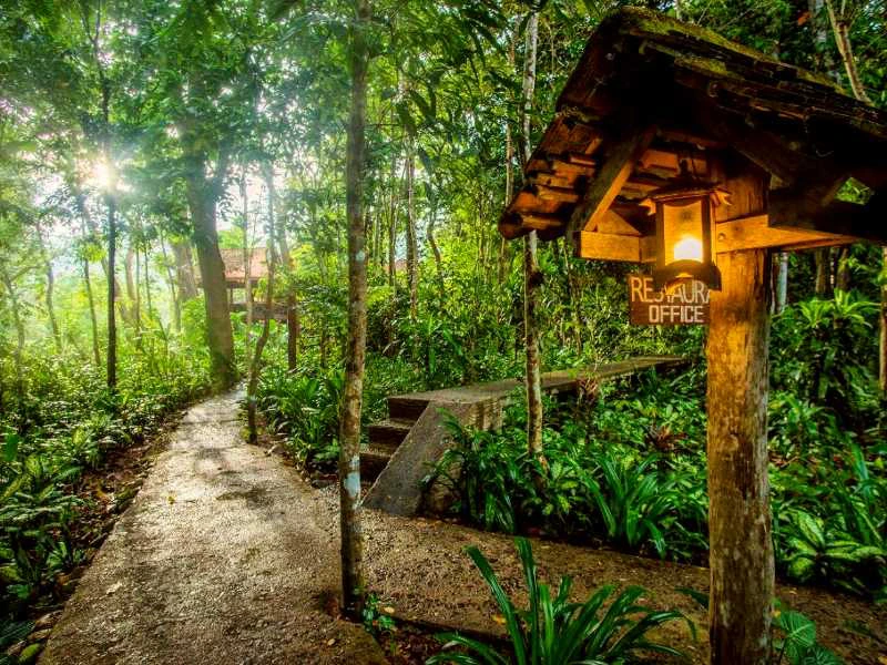 Lodge im Khao Sok