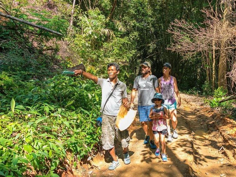Wanderung mit Guide im Khao Sok Nationalpark
