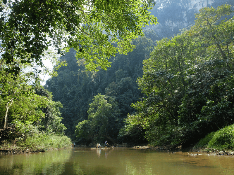 Bambusfloß auf dem Fuss im Khao Sok Nationalpark in Thailand