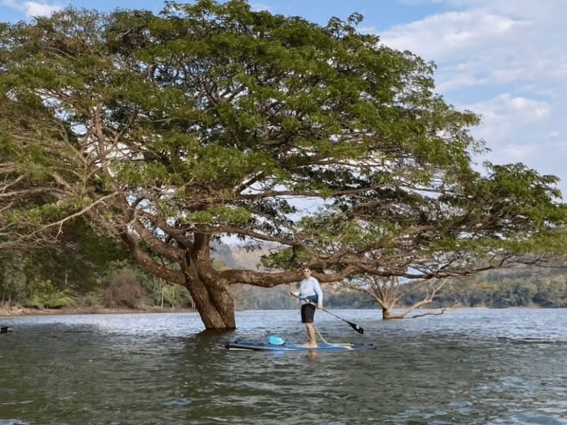 Tourist beim Stand-up Paddling auf dem Ping Fluss in Chiang Mai in Thailand