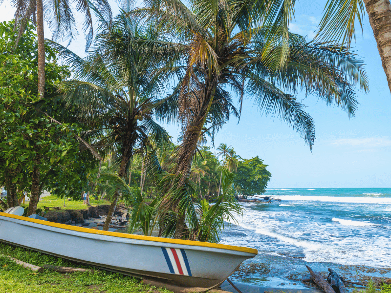 Boot und Palmen am Strand von Cahuita