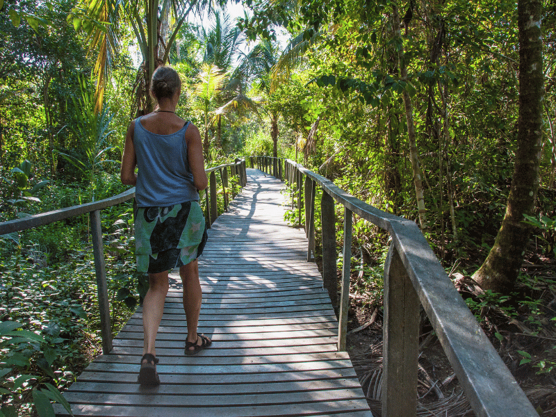 Frau wandert durch den Cahuita Nationalpark in Costa Rica