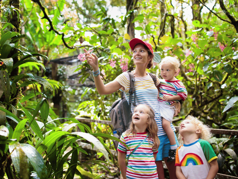 Familie schaut sich die tropischen Pflanzen in Costa Rica an