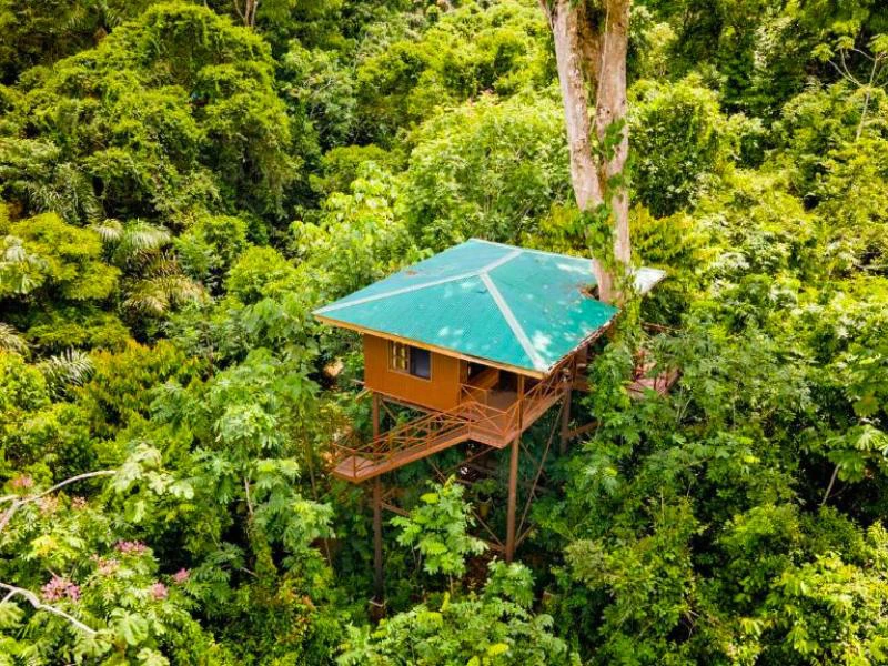 Baumhaus in Boca Tapada in Costa Rica von oben