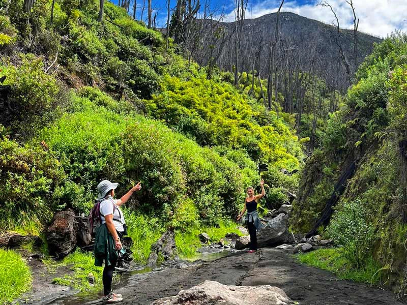 Guide bei der Burned Forest Tour in Turrialba