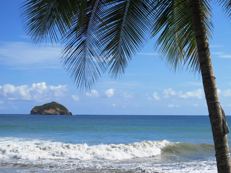 Strand Manuel Antonio