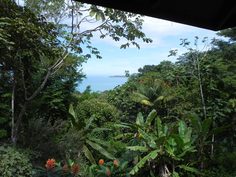 Blick über den Dschungel zum Meer in Costa Rica