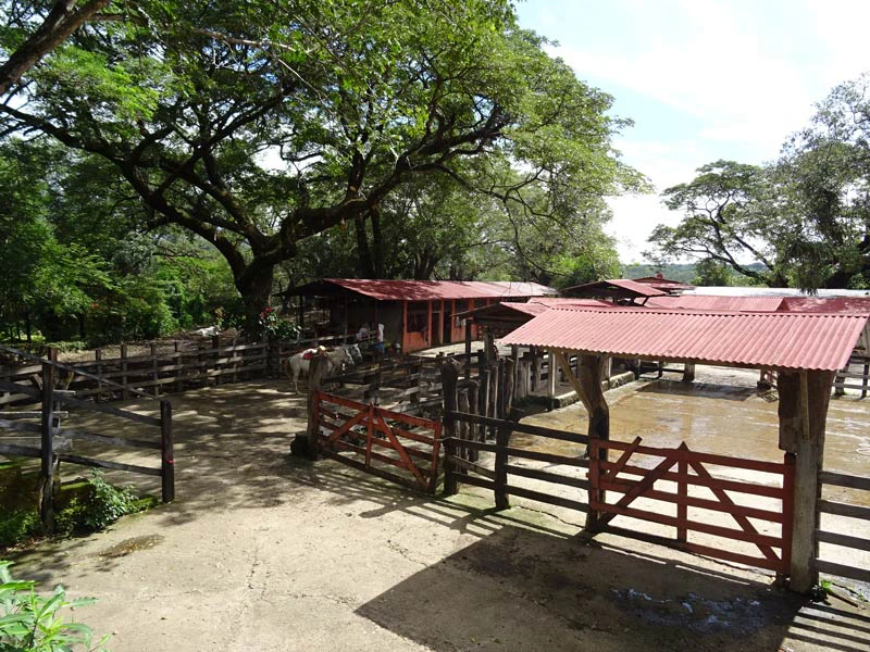 Stallungen am Rincon de la Vieja in Costa Rica