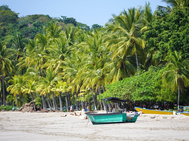 Strand mit Palmen in Costa Rica