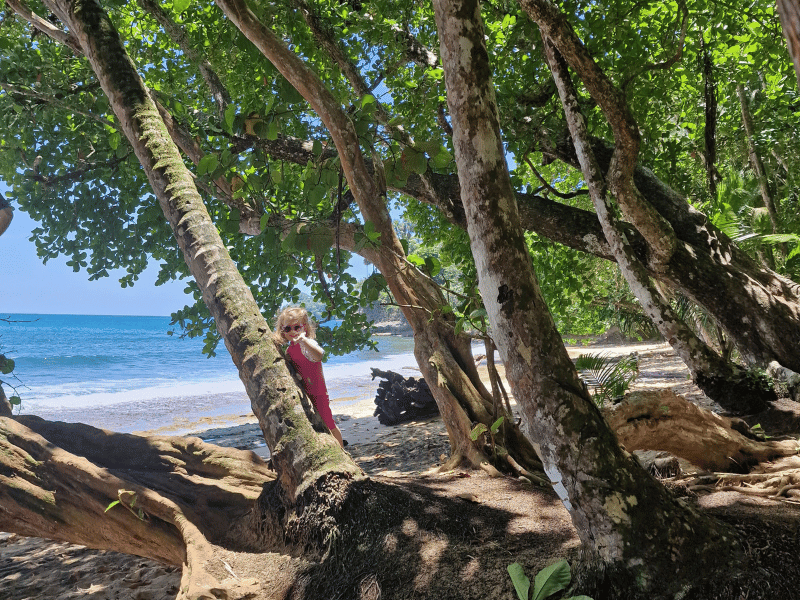 costa rica-cahuita-wanderung2